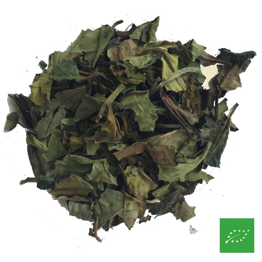 Bai Mu Dan Super Grade ~Chine~ BIO